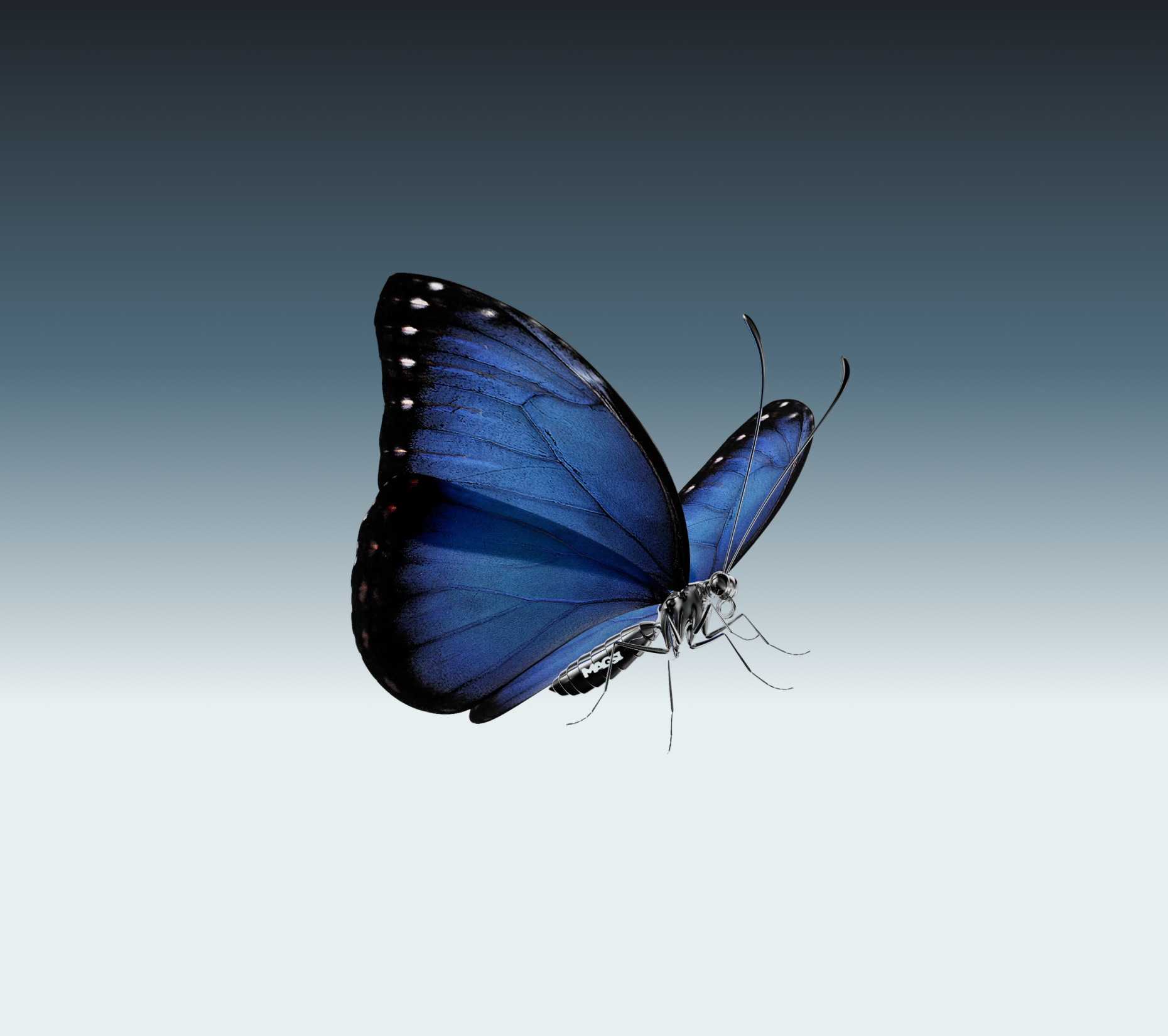 Behind the color Azure